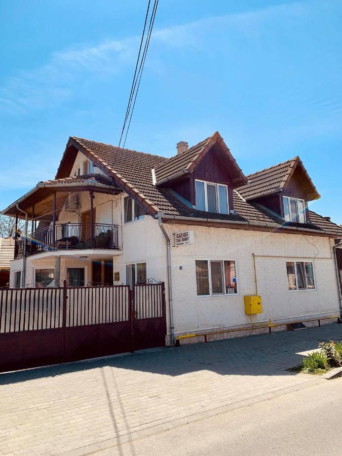 Hotel Casa Debora Haţeg Exteriér fotografie